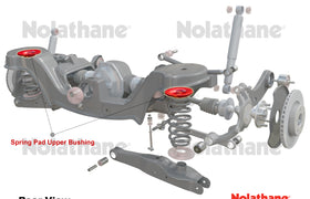 Nolathane - Ford Falcon BA BF Territory SX SY - Rear Spring Pad