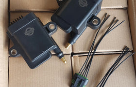 1x Savage Coilpack *Savage Performance*