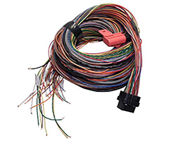 G4 Loom B (5m) - WireIn ECU