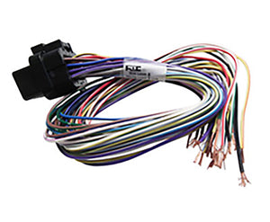 Loom B 400mm - WireIn ECU