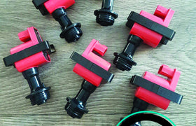 1x RB Series 1 Coilpack R32 R33 Skyline RB20DET RB25DET RB26DETT 22433-60U02 *Savage Performance*